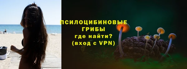 трава Верхний Тагил