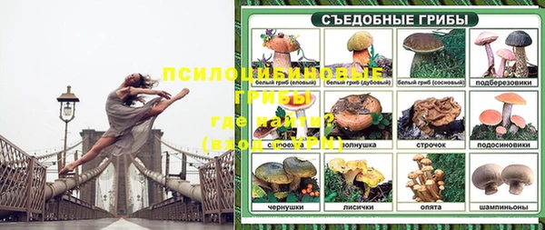 каннабис Верея