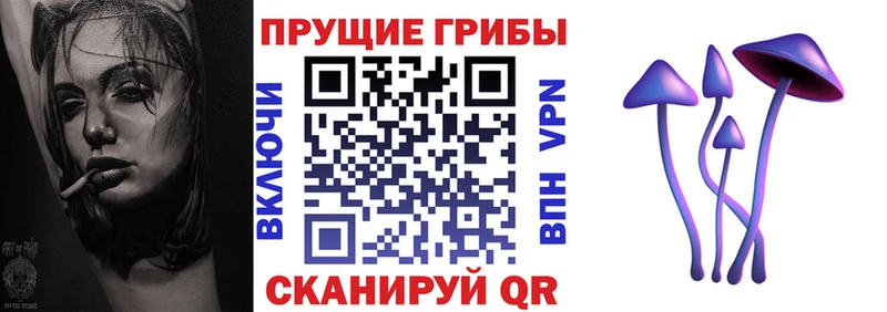 hydra   Нальчик  мориарти какой сайт  Галлюциногенные грибы Psilocybe 